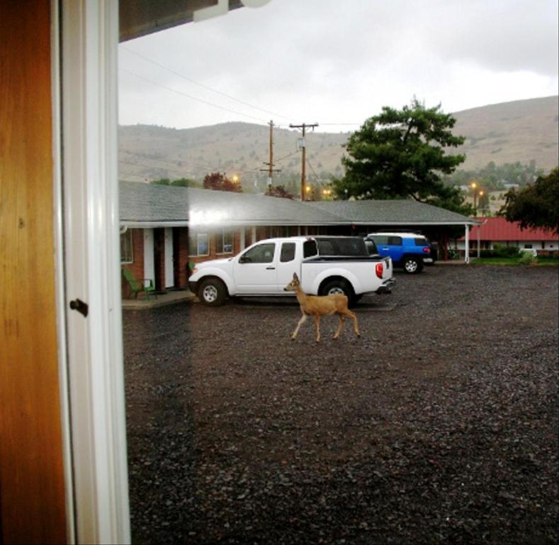 Golden West Motel Klamath Falls Eksteriør billede